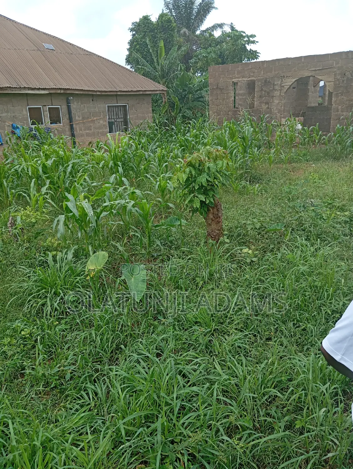 4plots of Land Located at Ringroad Osogbo in Osogbo