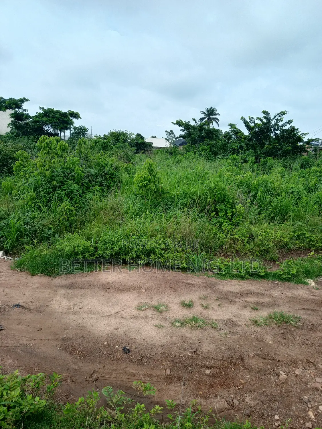 Plot of Land in Akinyele