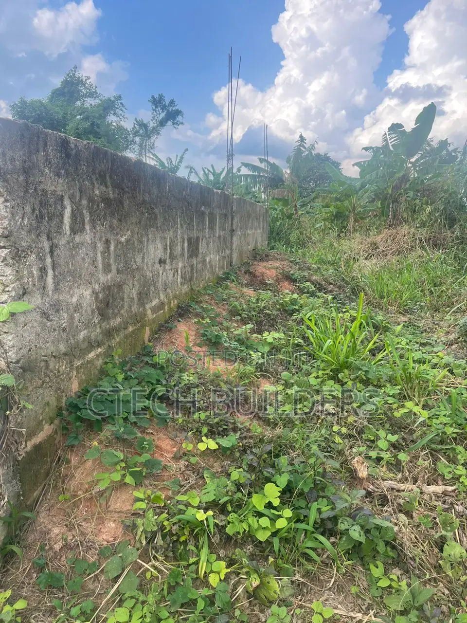 50ft X 100ft With Foundation for Sale in Benin City