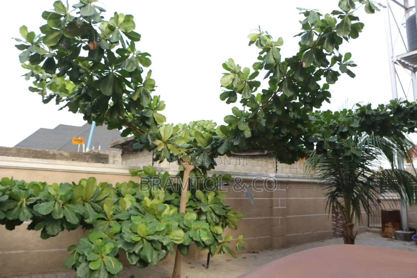 4bdrm Duplex in Sabon Lugbe for rent in Sabon Lugbe