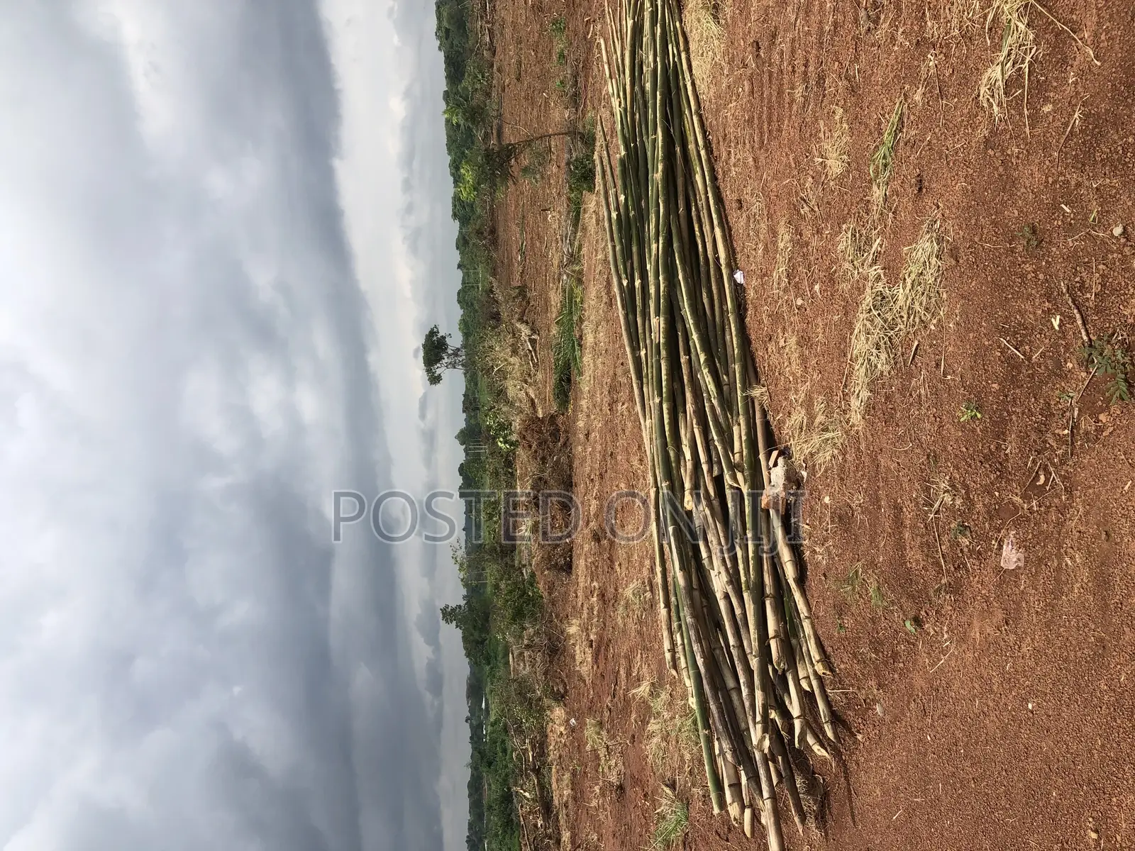 Lands for Sale at Capital Hills Villa in Enugu