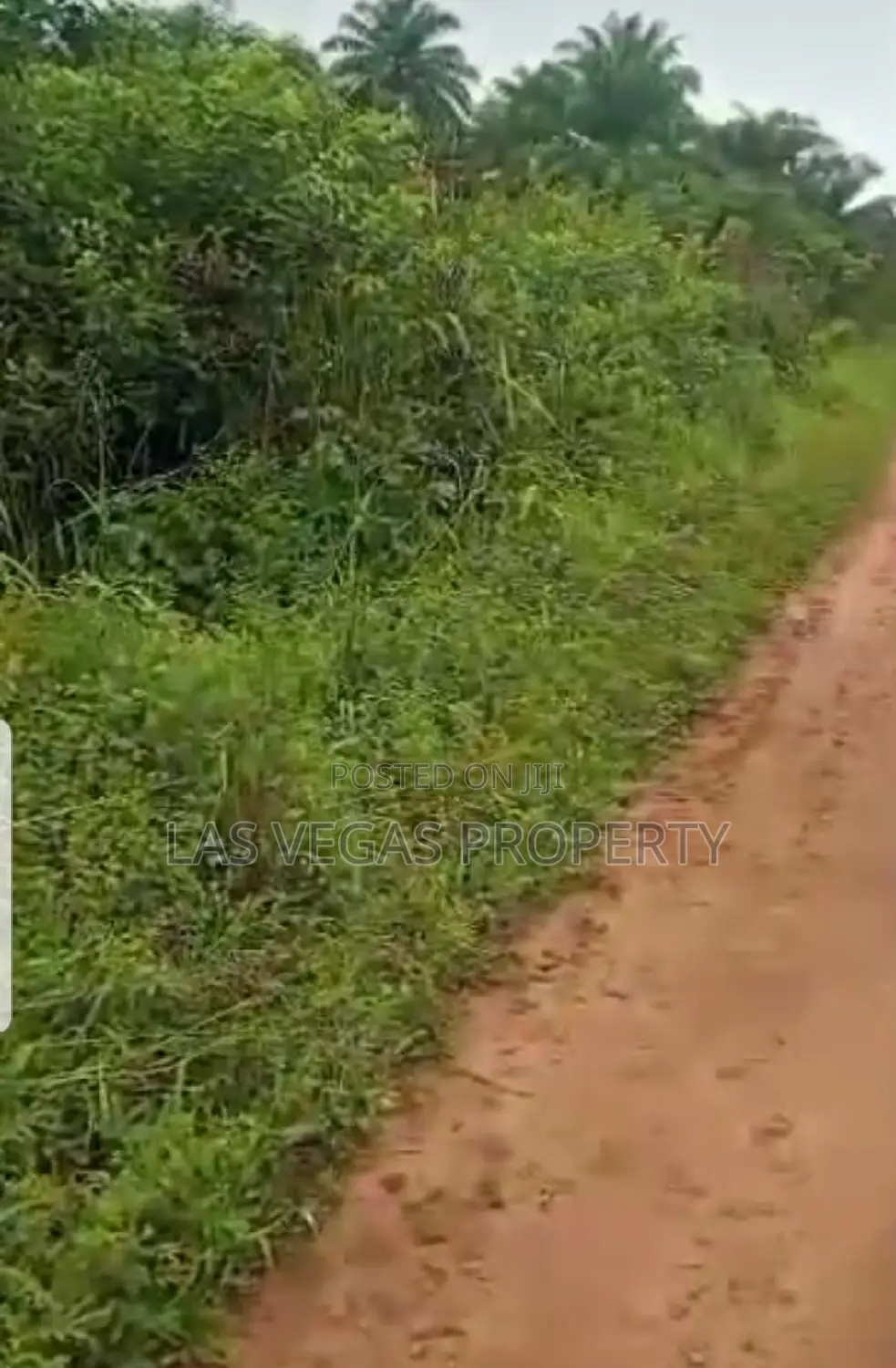 Over 50plots at Ebuka Obi Zion Ministries Ngor Okpala Owerri in Owerri
