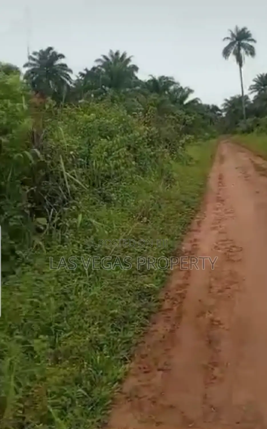 Over 50plots at Ebuka Obi Zion Ministries Ngor Okpala Owerri in Owerri