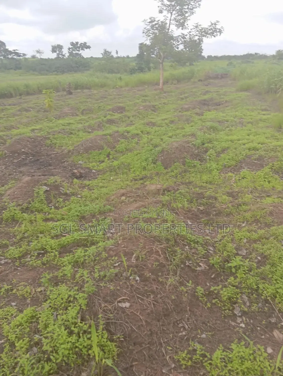 Green Villa Estate Mgbakwu in Awka