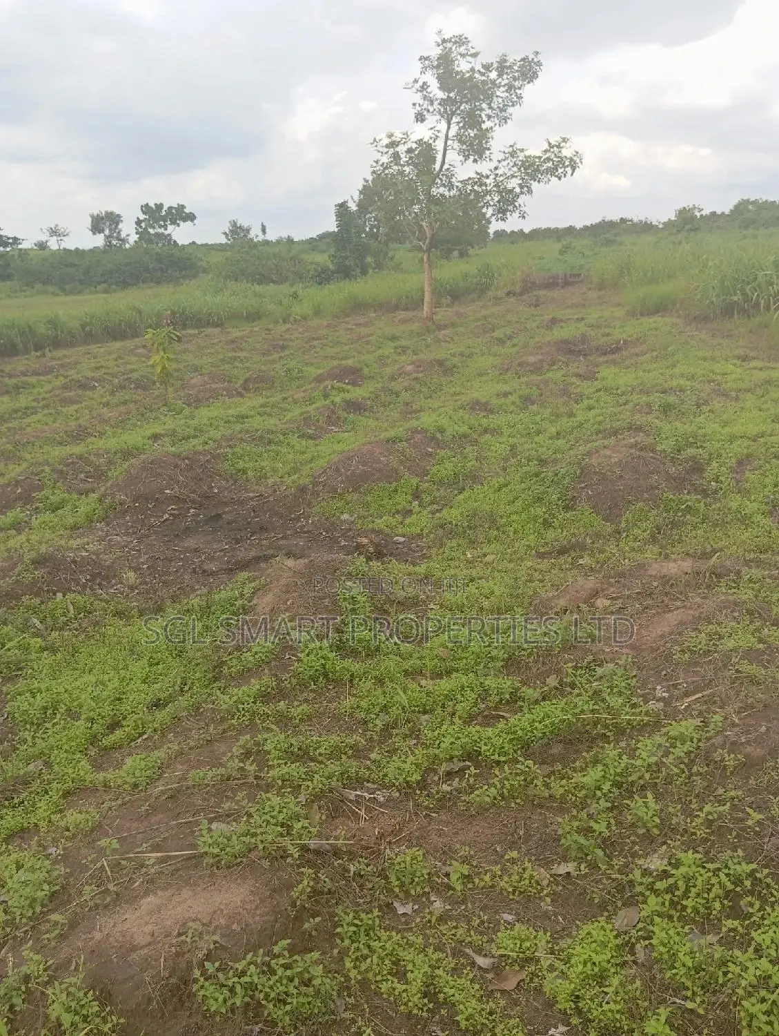 Green Villa Estate Mgbakwu in Awka
