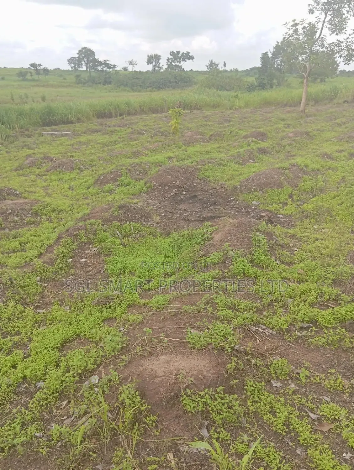Green Villa Estate Mgbakwu in Awka