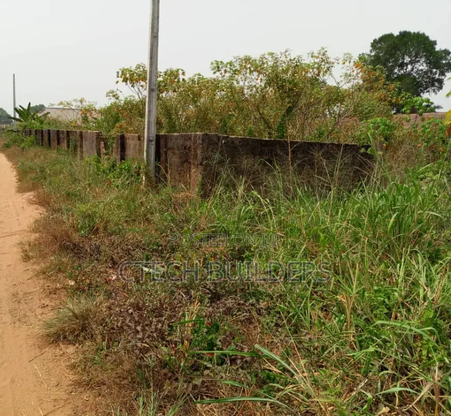 100x200 With Lock Up Shops in Benin City