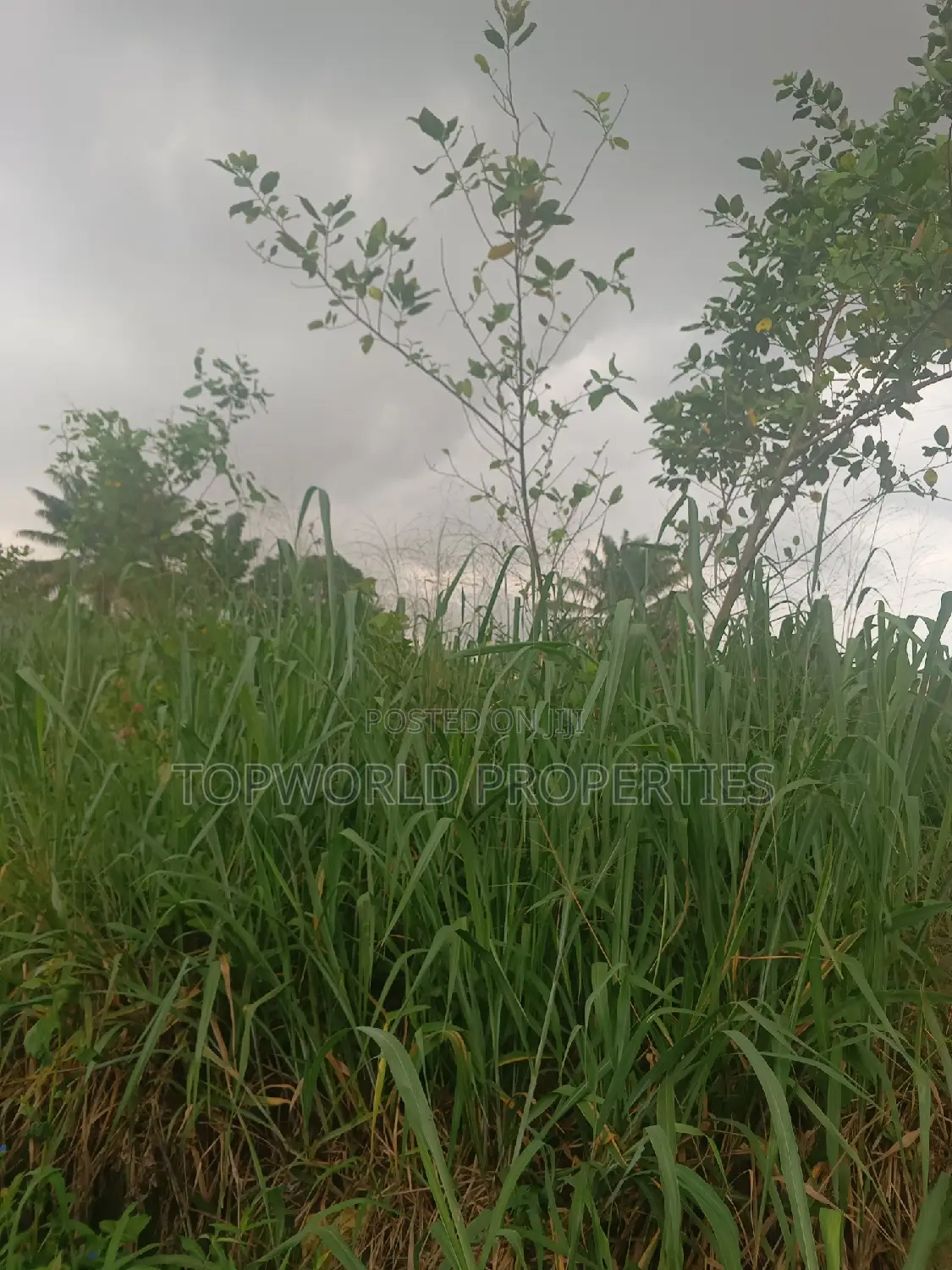 300 Square Meter in Kayfarm Estate Obawole Ifako Ijaiye in Ifako-Ijaiye