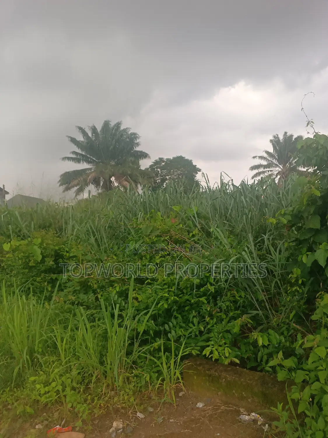 300 Square Meter in Kayfarm Estate Obawole Ifako Ijaiye in Ifako-Ijaiye