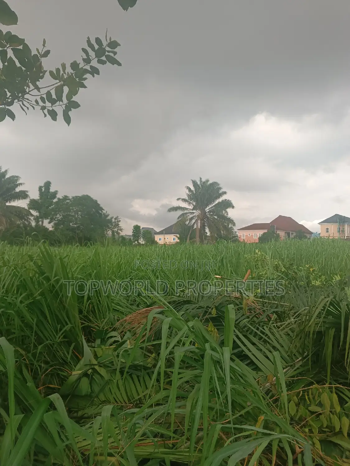 300 Square Meter in Kayfarm Estate Obawole Ifako Ijaiye in Ifako-Ijaiye