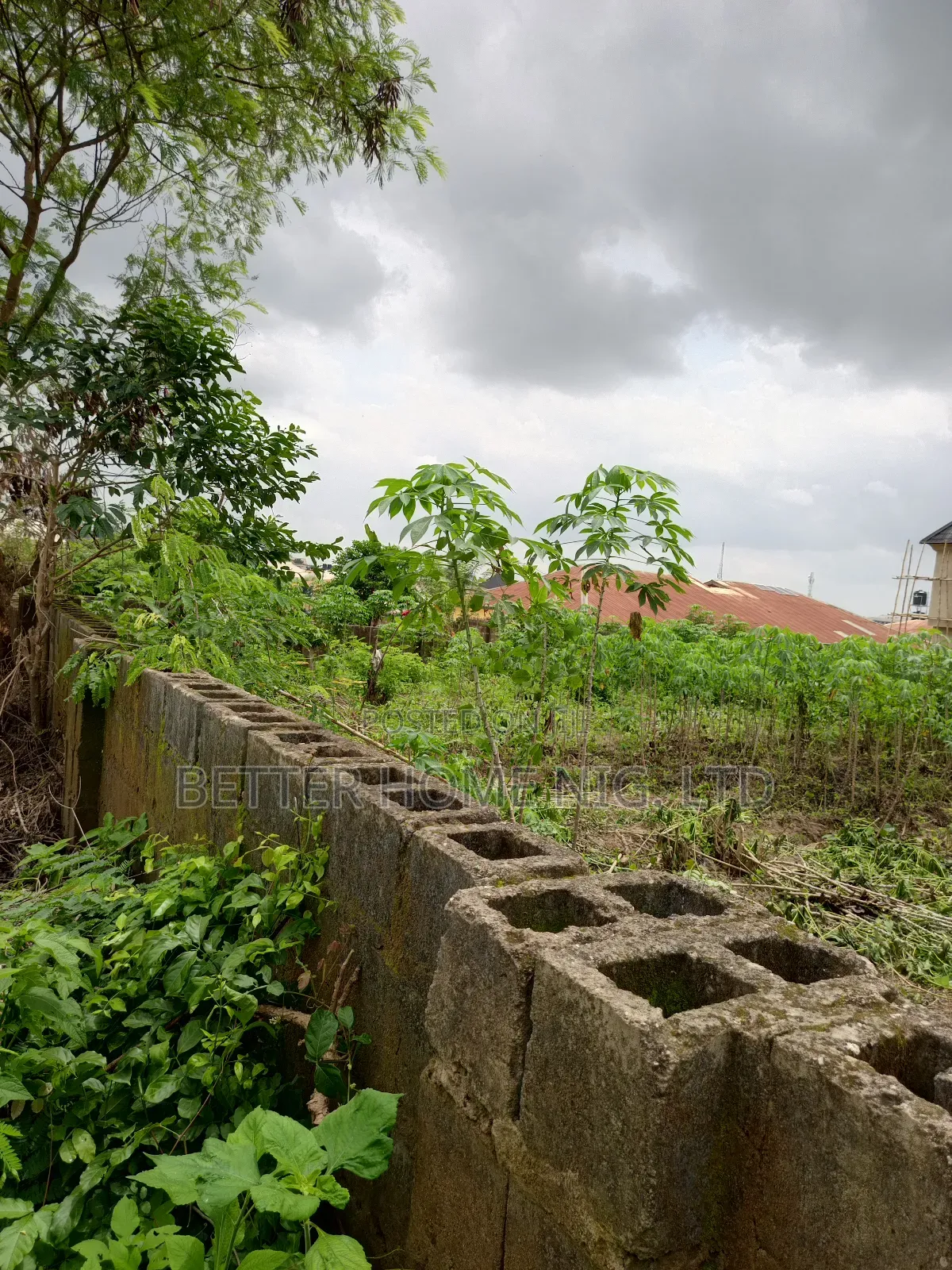 A Plot Standard of Land in Ido