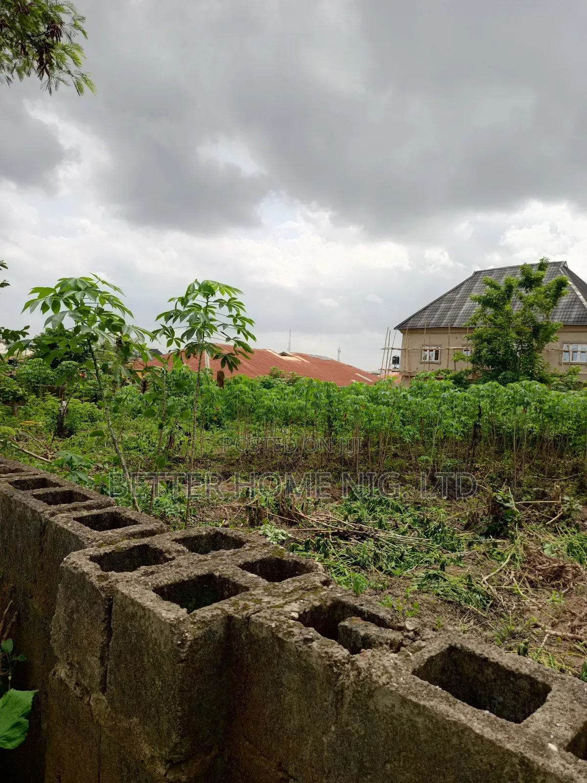 A Plot Standard of Land in Ido