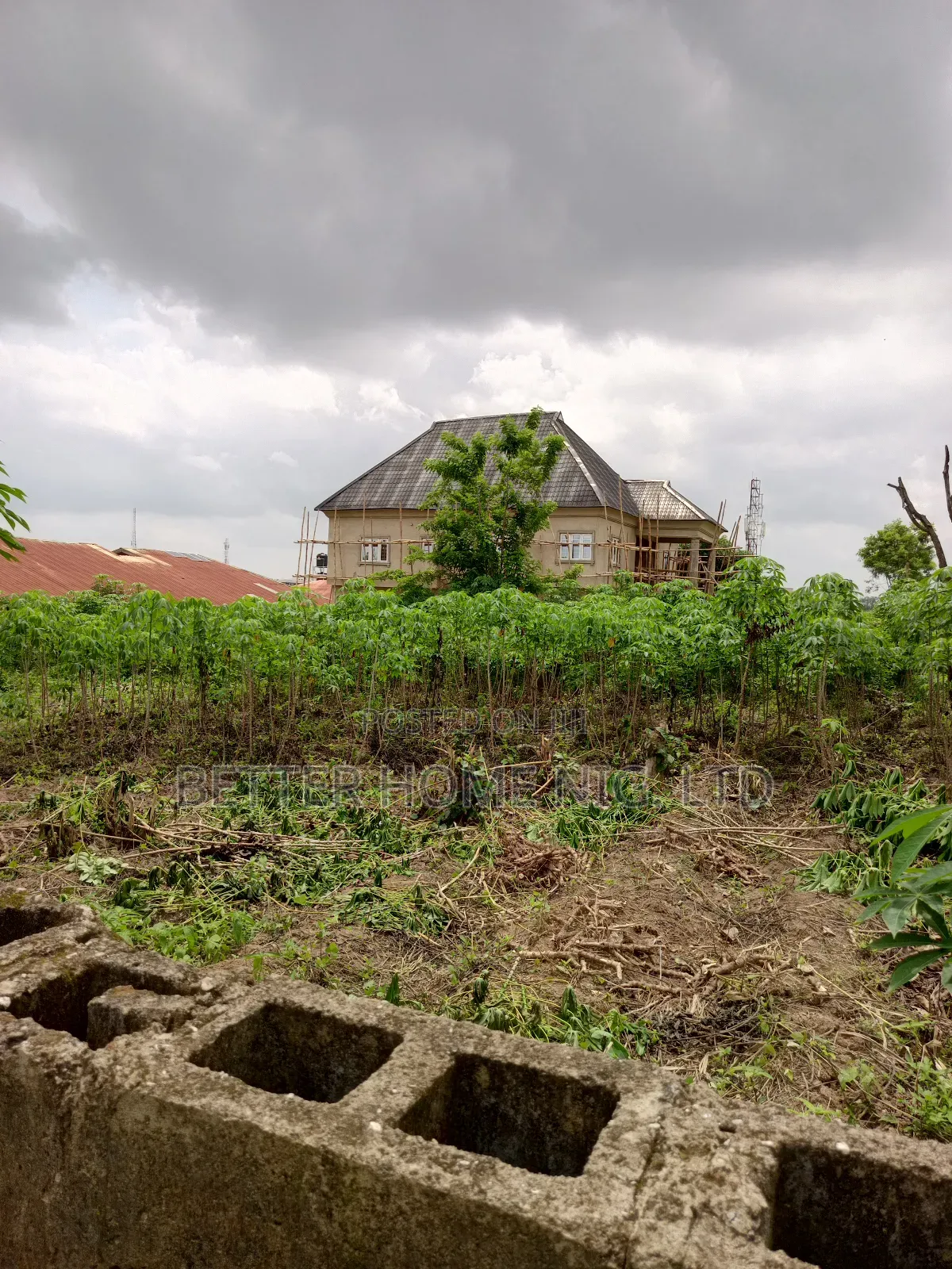 A Plot Standard of Land in Ido