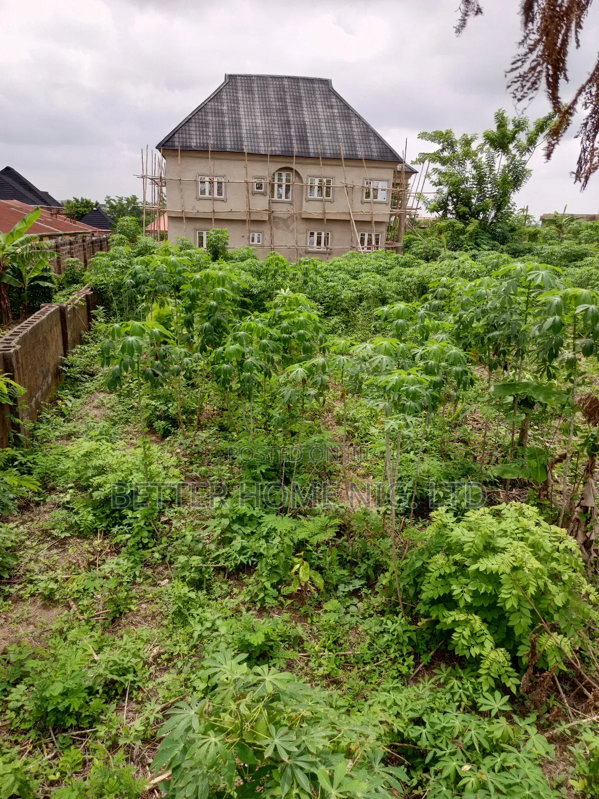 A Plot Standard of Land in Ido