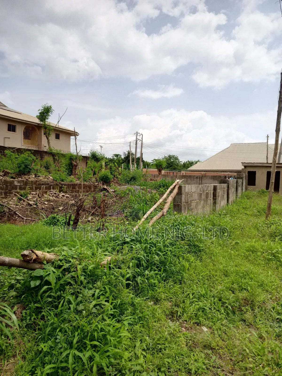 Standard Plot of Land in Ido
