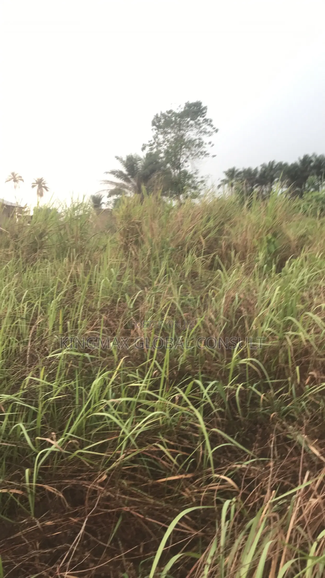 Commercial Land in Maitama