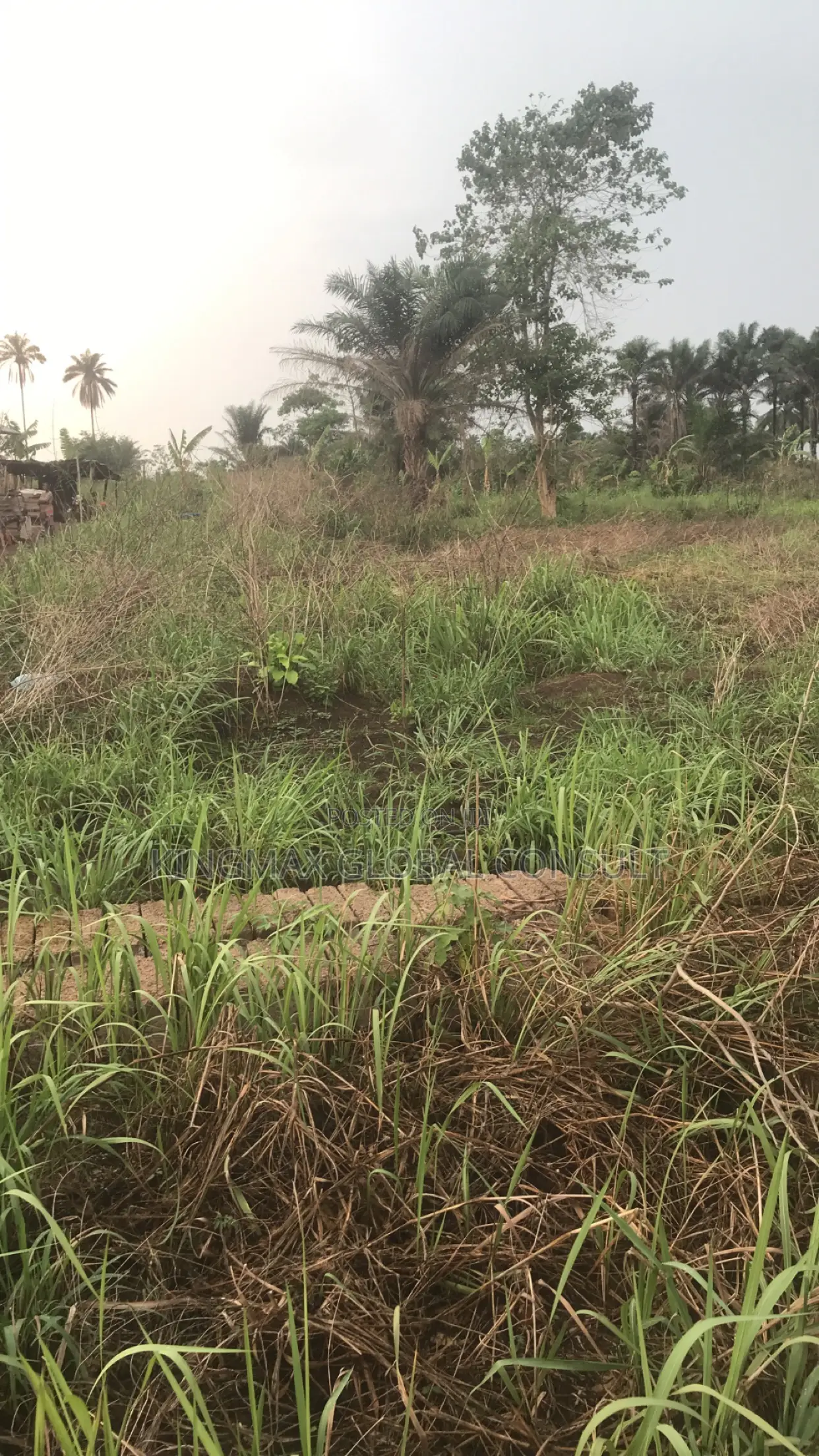 Flat Land for Sale in Maitama