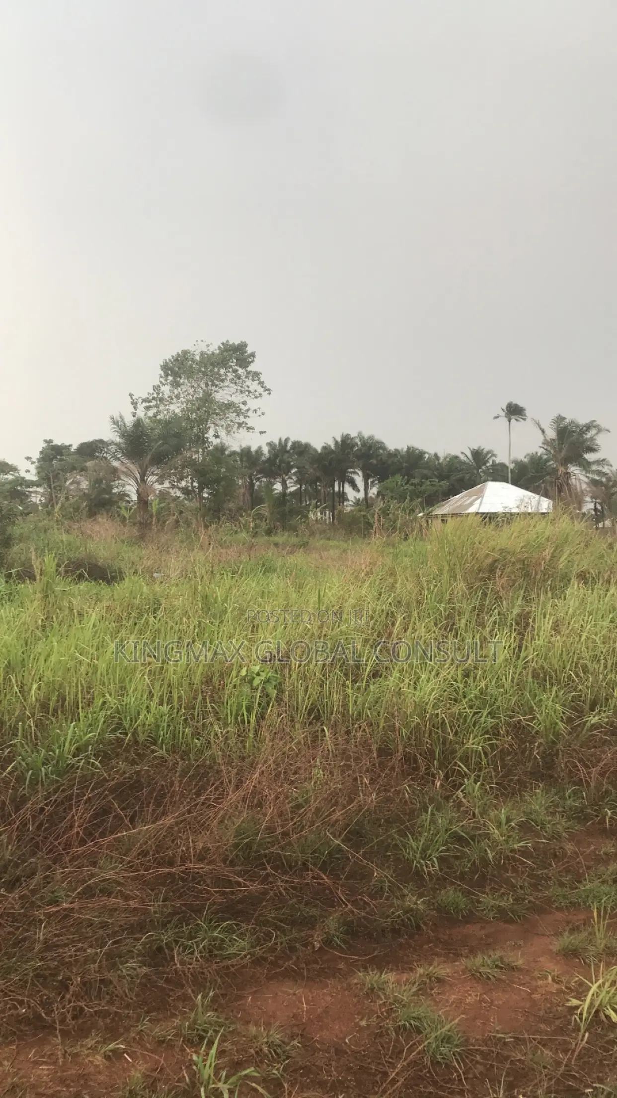 Flat Land for Sale in Maitama