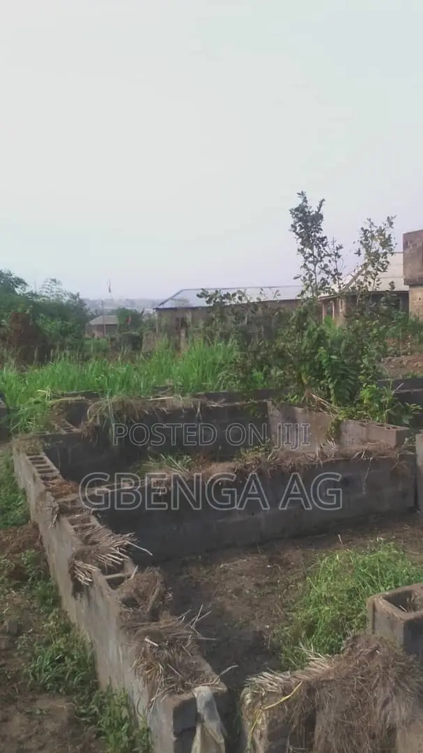 A Plot for Sale at Ogba Ayo Ijoko in Ifo