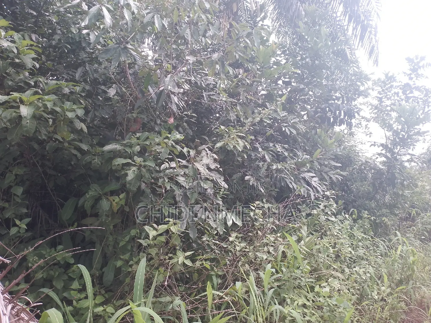 Plots of Land in Owerri
