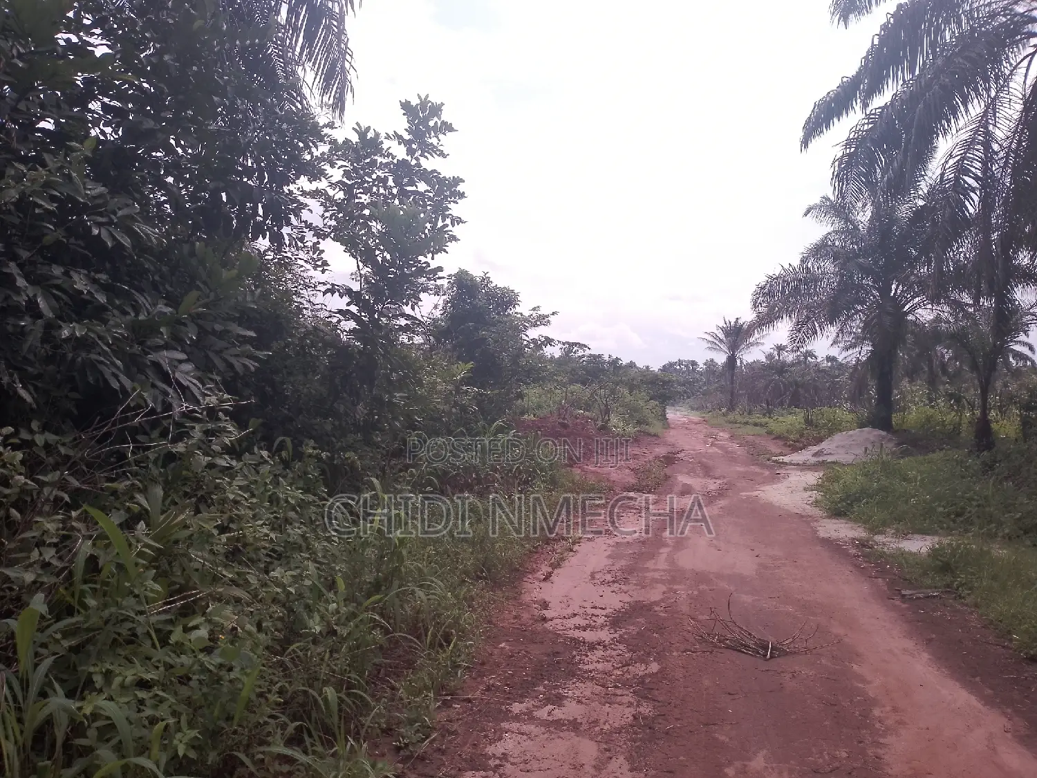 Plots of Land in Owerri