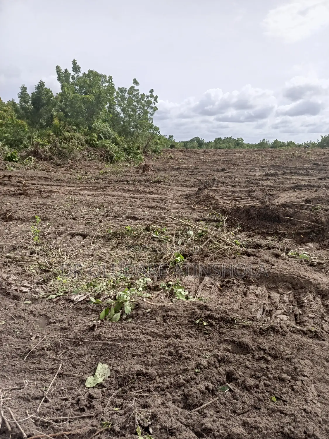 30 Plots of Land in Abeokuta North