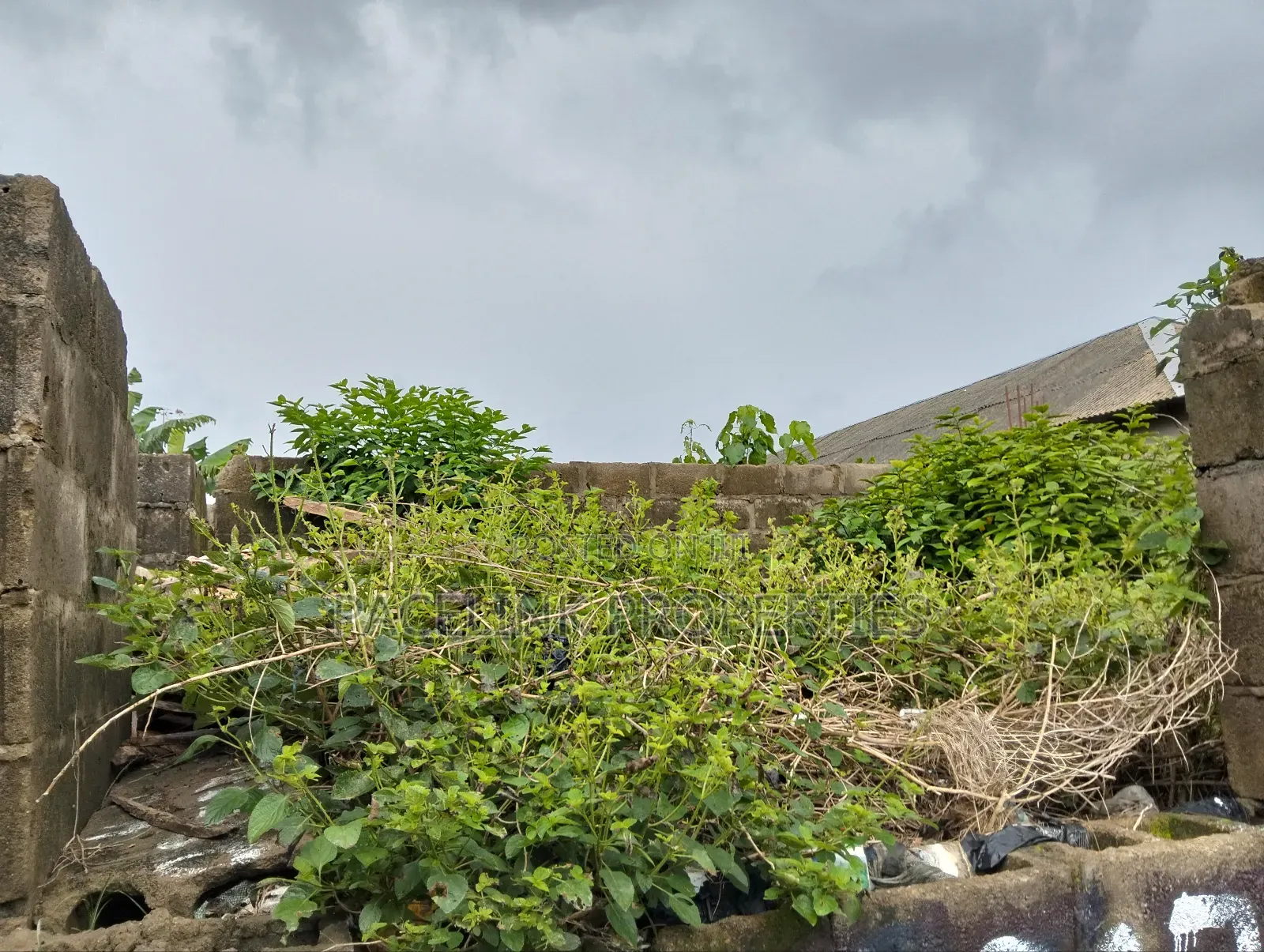 Half Plot of Land in a Very Decent Area in Iyana Ipaja