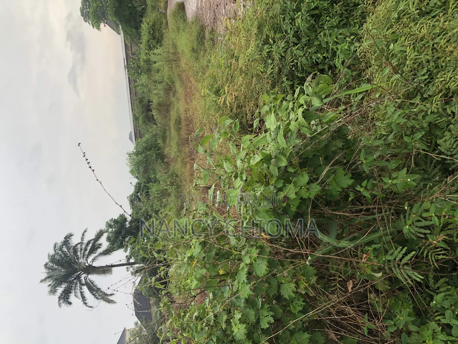 Land at New Kenyetta in Enugu