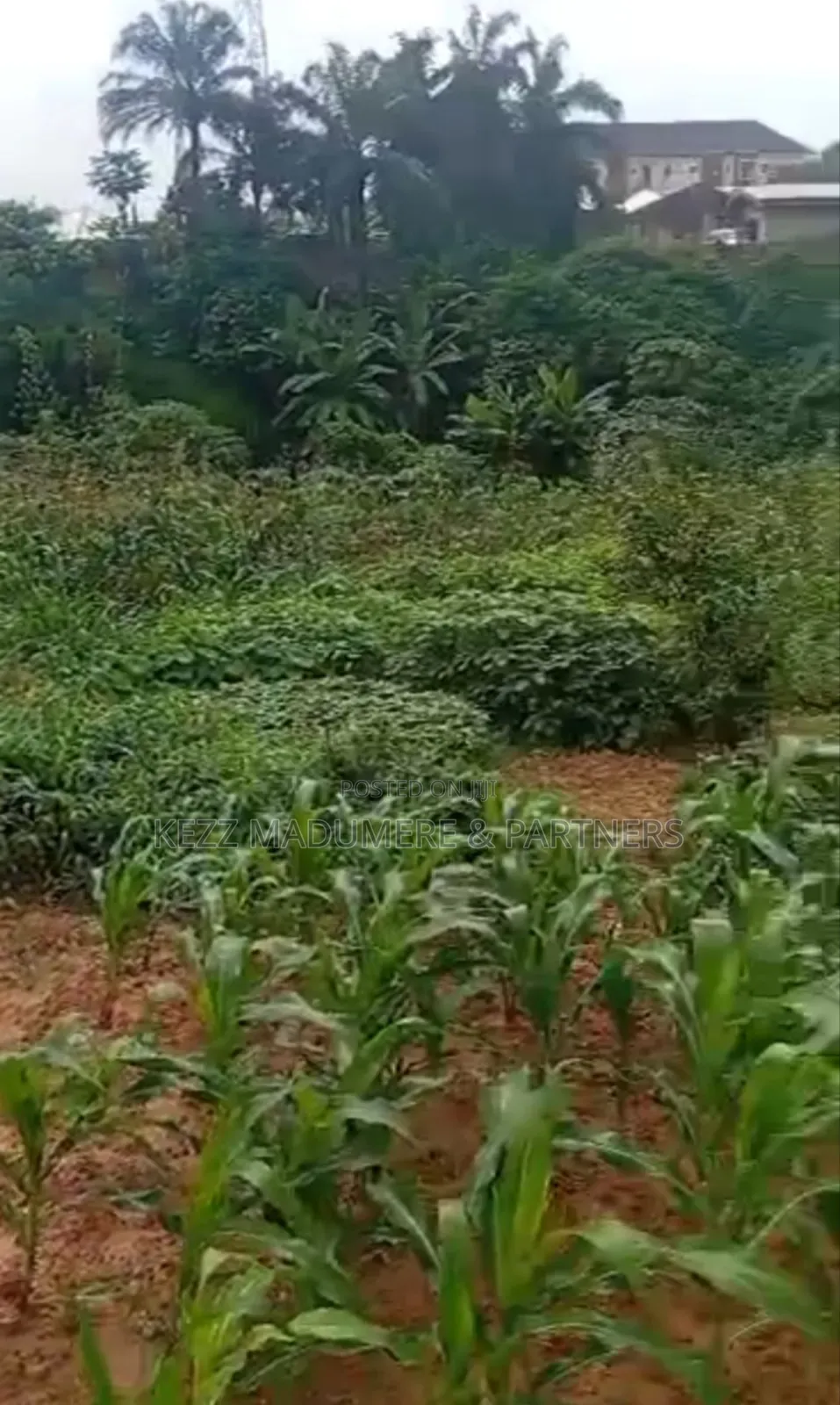 For Land : 4 Plots on Major Sars Road in Port-Harcourt