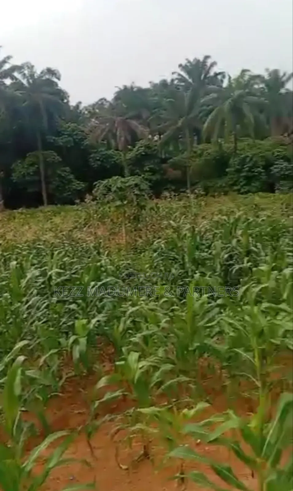 For Land : 4 Plots on Major Sars Road in Port-Harcourt