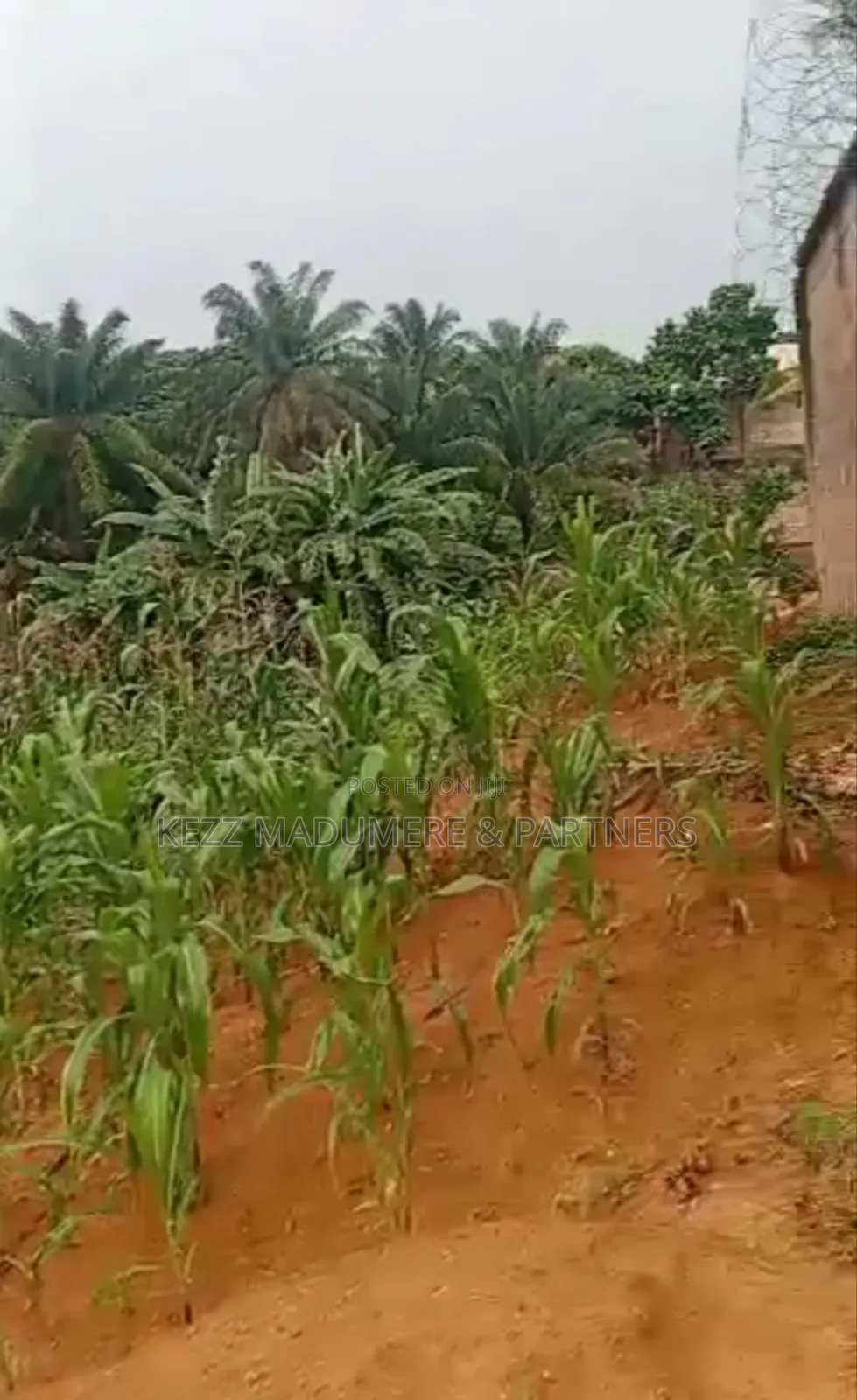 For Land : 4 Plots on Major Sars Road in Port-Harcourt