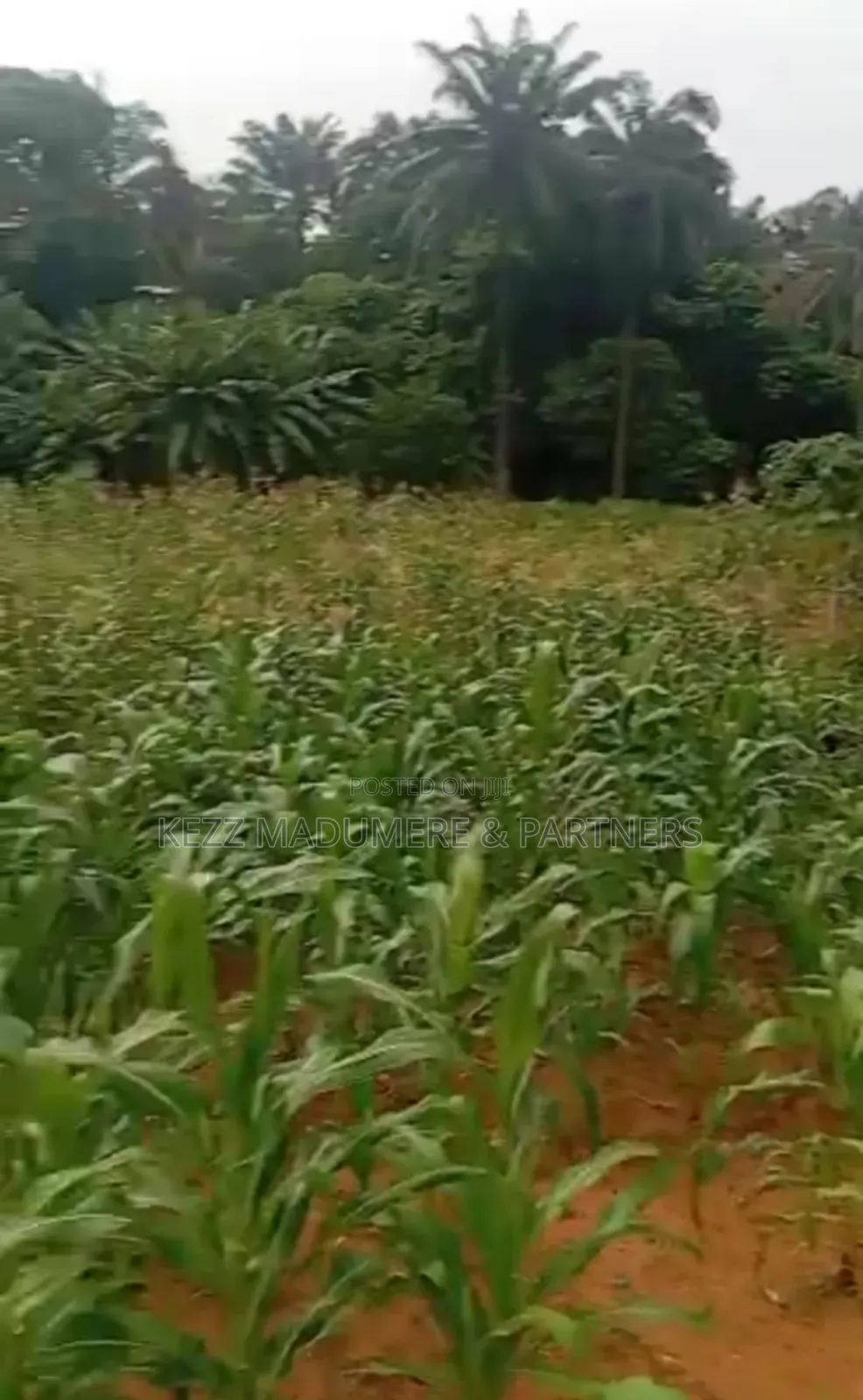 For Sale : 11⁄4 Plots at Off Apu Road , Rukpokwu in Port-Harcourt