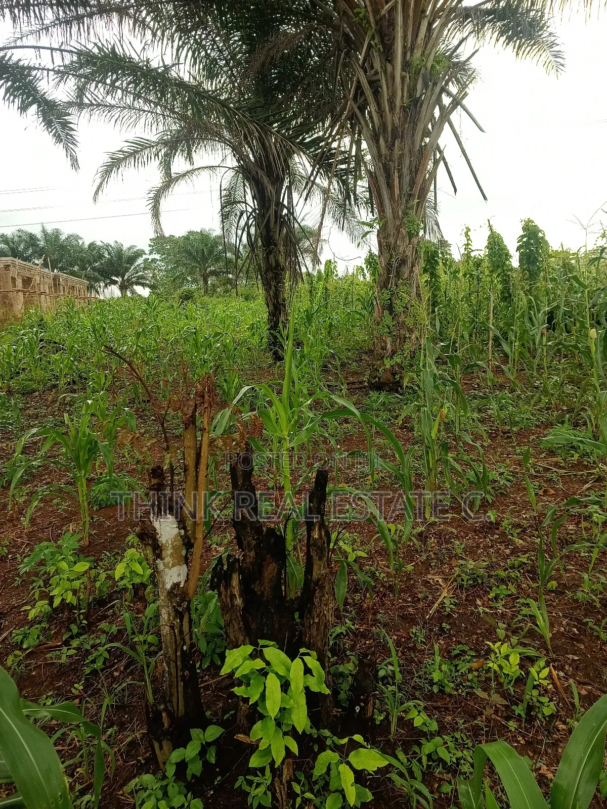 100/100 at Ekiadolor,Isihor Close to Ekiadolor Market in Benin City