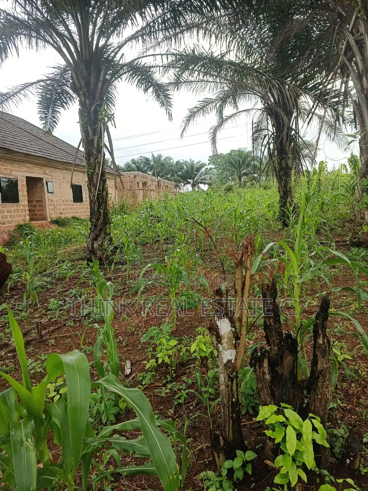 100/100 at Ekiadolor,Isihor Close to Ekiadolor Market in Benin City
