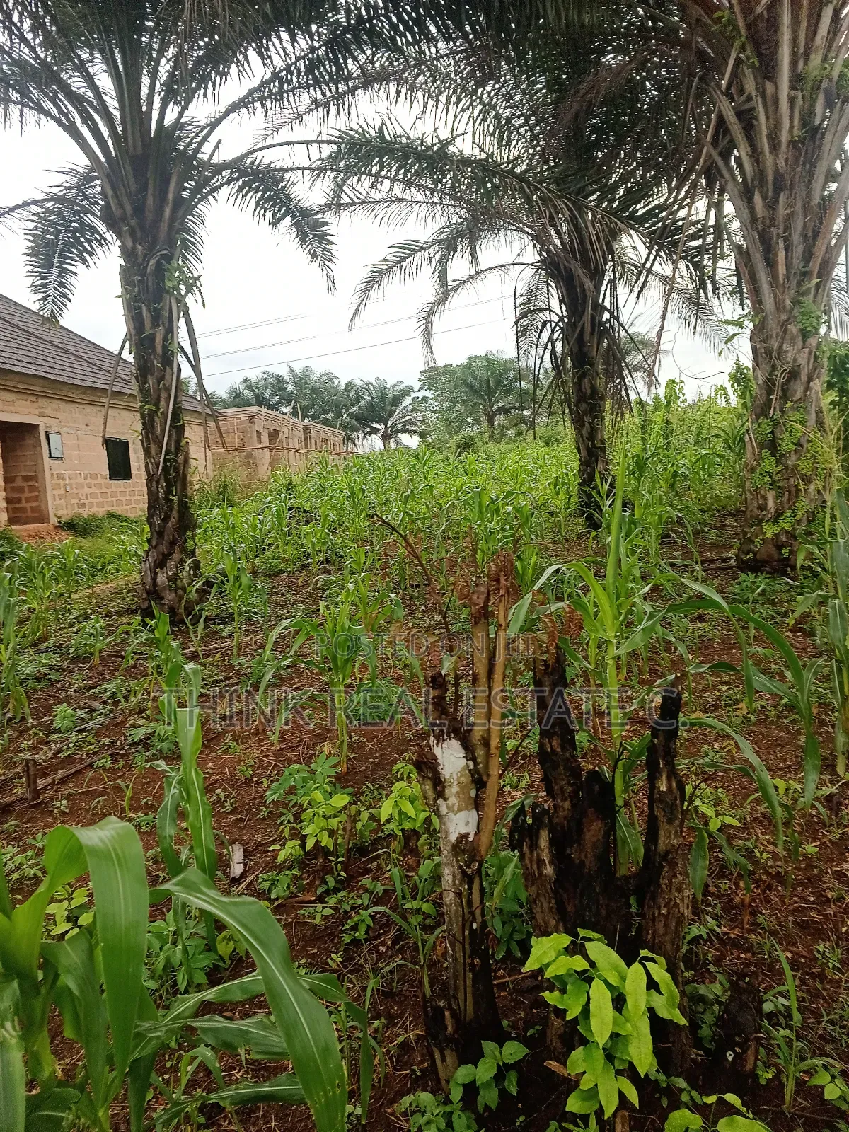 100/100 at Ekiadolor,Isihor Close to Ekiadolor Market in Benin City