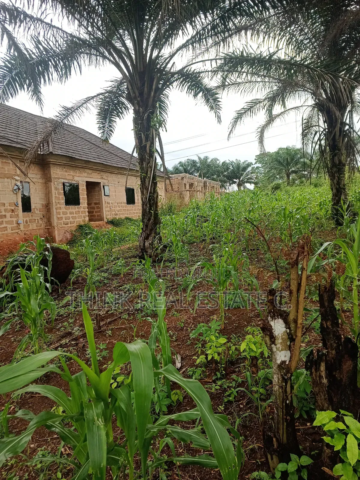 100/100 at Ekiadolor,Isihor Close to Ekiadolor Market in Benin City