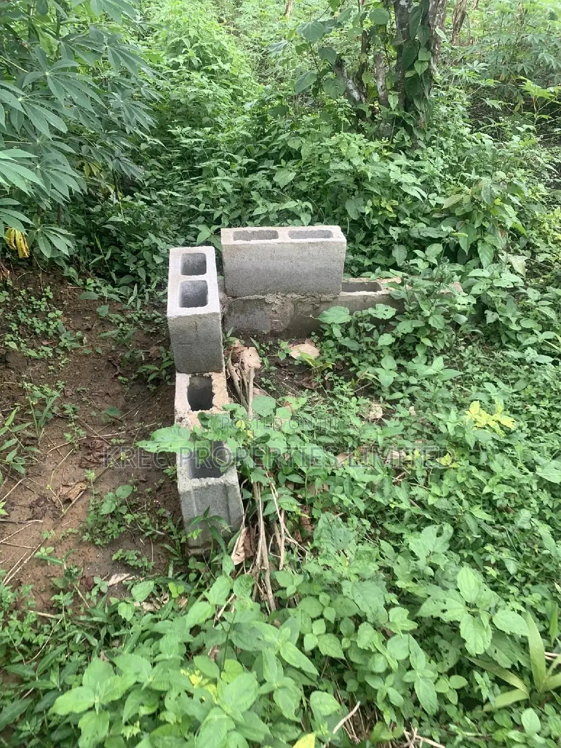 Sweet and Affordable Plot of Land in Isiokpo PH for SALE in Port-Harcourt