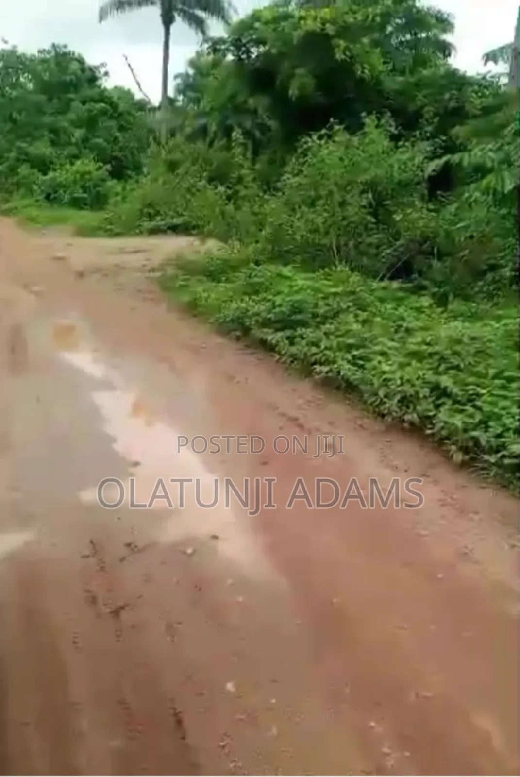 For Sale 60acres of Farmland at Igbajo Town in Osogbo