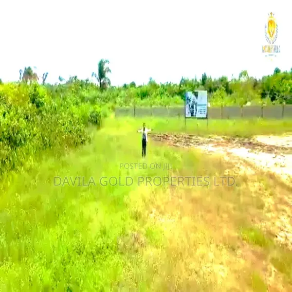 Master Villa in Lekki