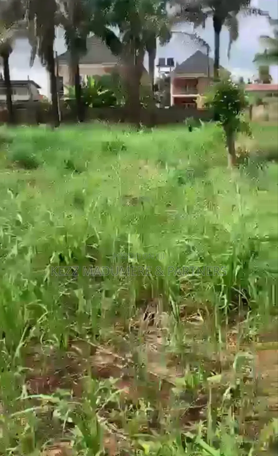 For Sale : 1000 SQMTRS Land at Old Gra by Graceland College in Enugu
