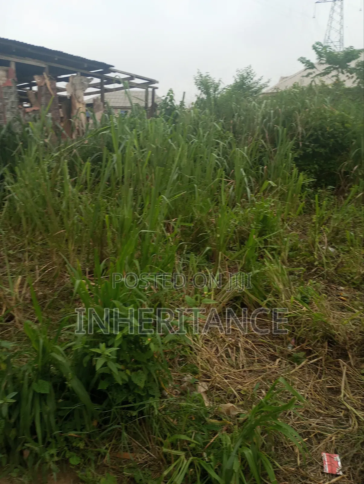 Half Plot at Imgbon Araromi Ikorodu in Agric