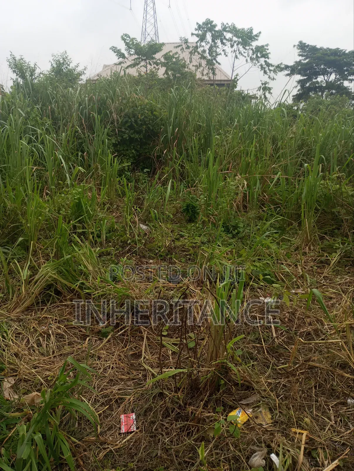 Half Plot at Imgbon Araromi Ikorodu in Agric