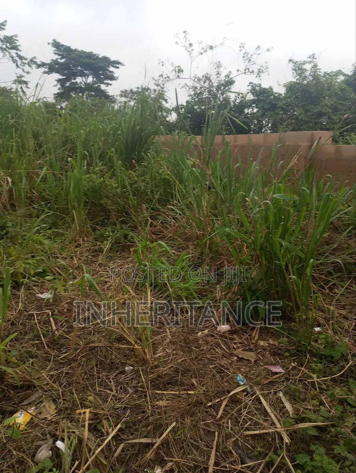 Half Plot at Imgbon Araromi Ikorodu in Agric