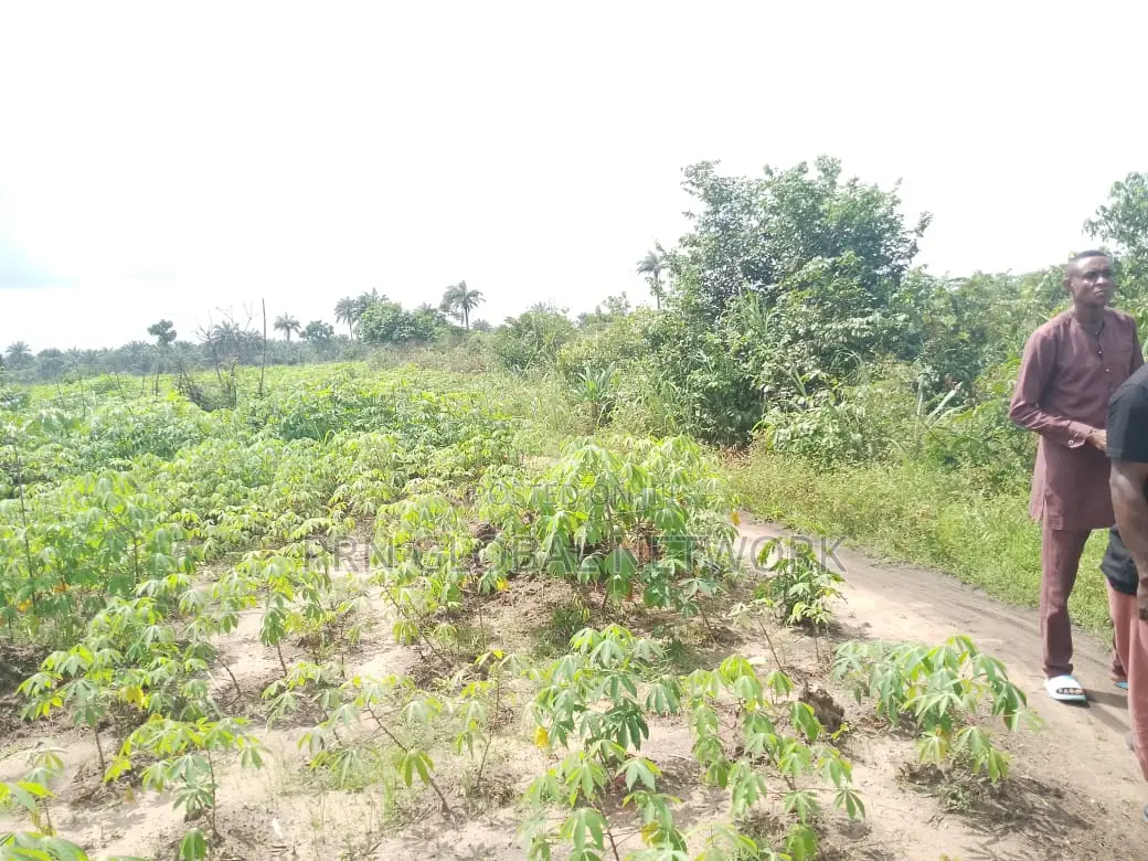 Strategic 31 Plots of Land in Owerri