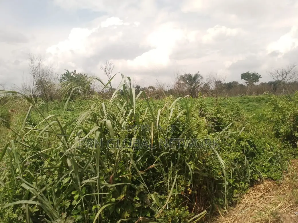 Strategic 31 Plots of Land in Owerri