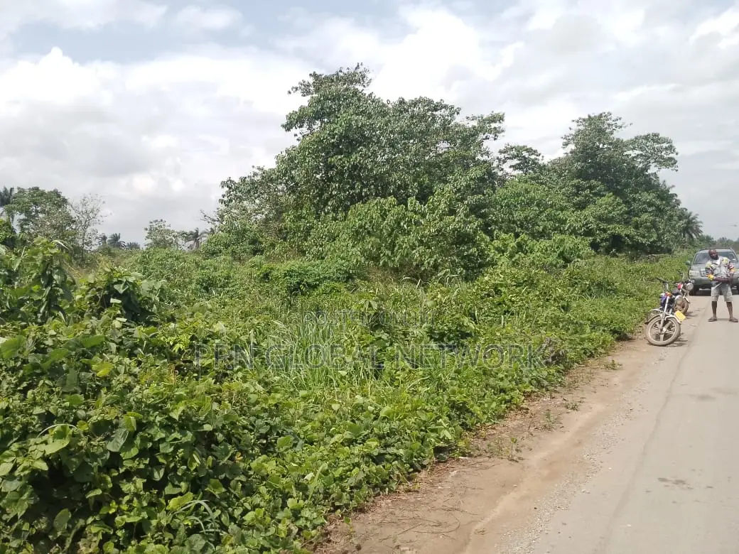 Strategic 31 Plots of Land in Owerri