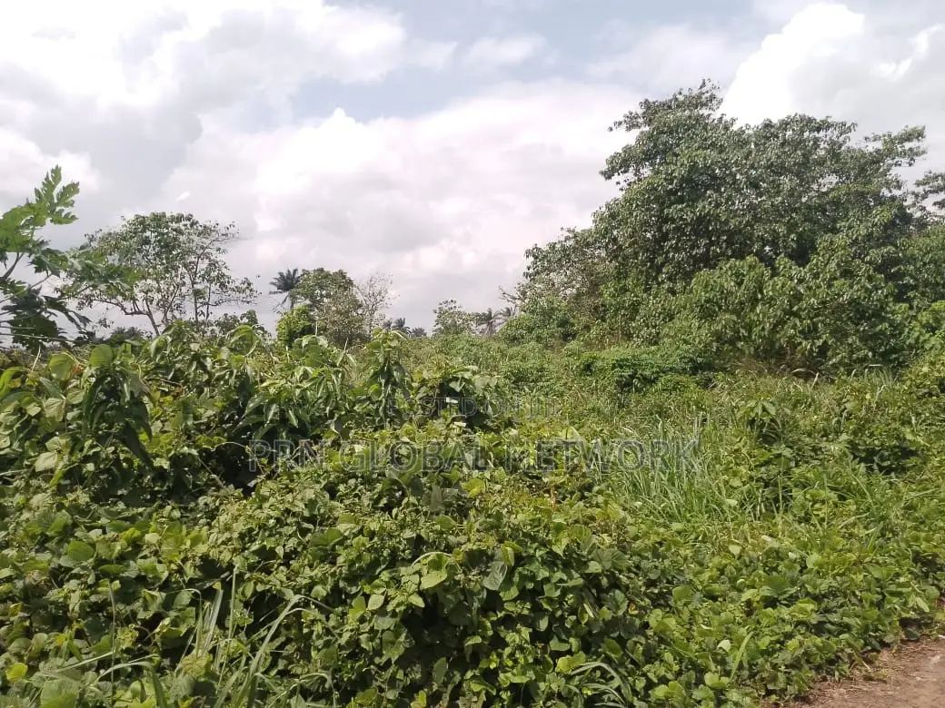 Strategic 31 Plots of Land in Owerri
