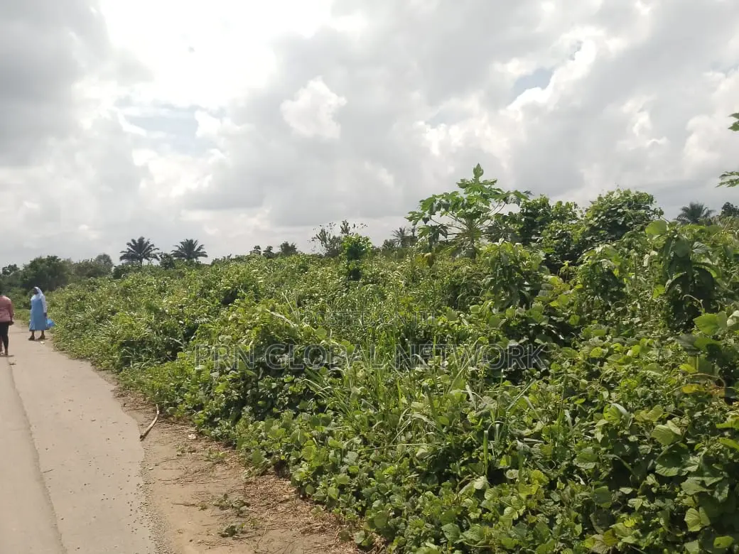 Strategic 31 Plots of Land in Owerri