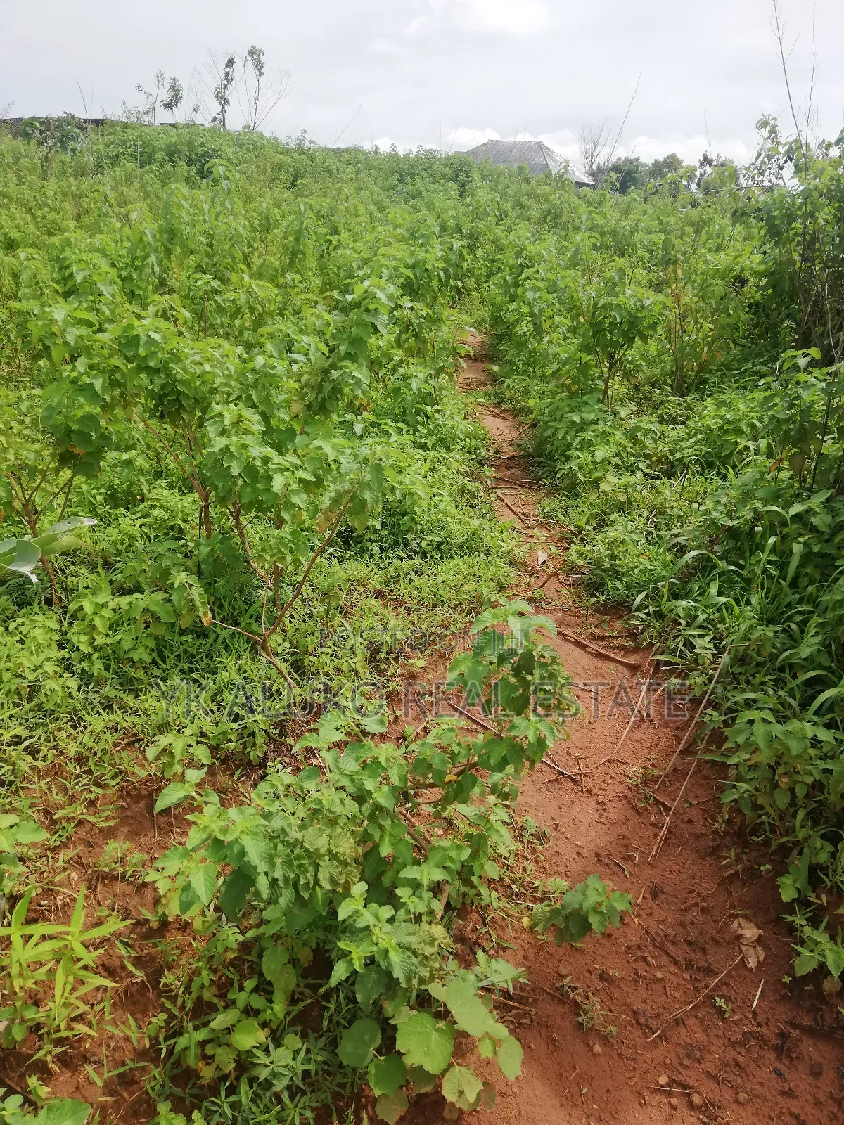 Deed of Assignment in Ilorin West