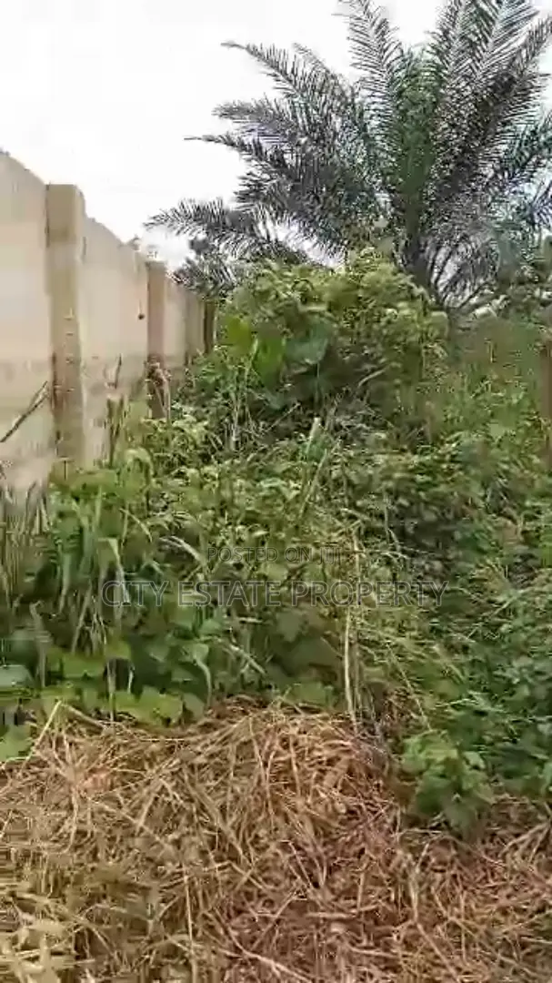 Land for Sale in Elelewo Portharcourt in Port-Harcourt